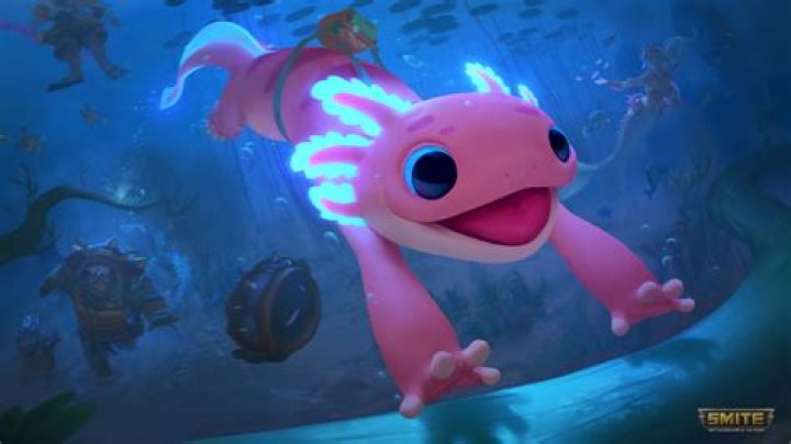 What role is Ratatoskr in smite?