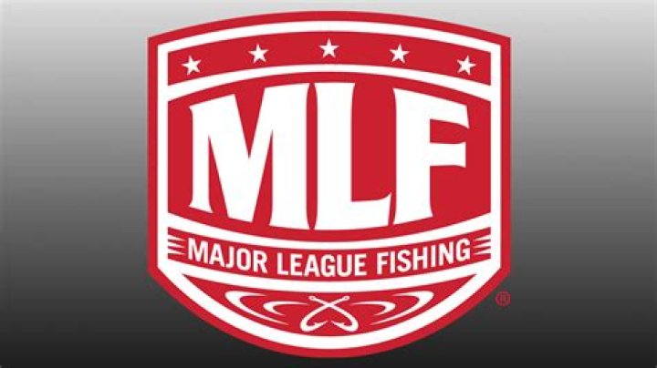 What scale is used on MLF fishing?