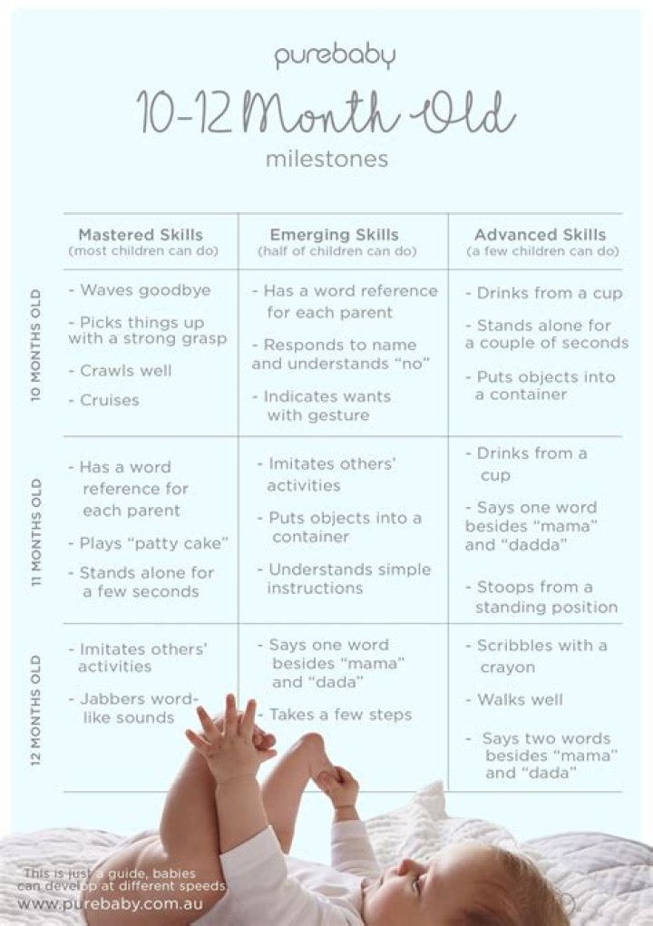 What should a 12 month old be doing developmentally?