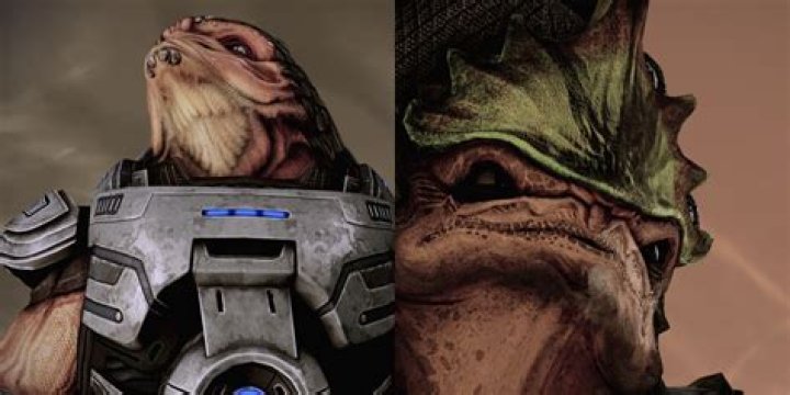 What should I do first in Mass Effect 2?