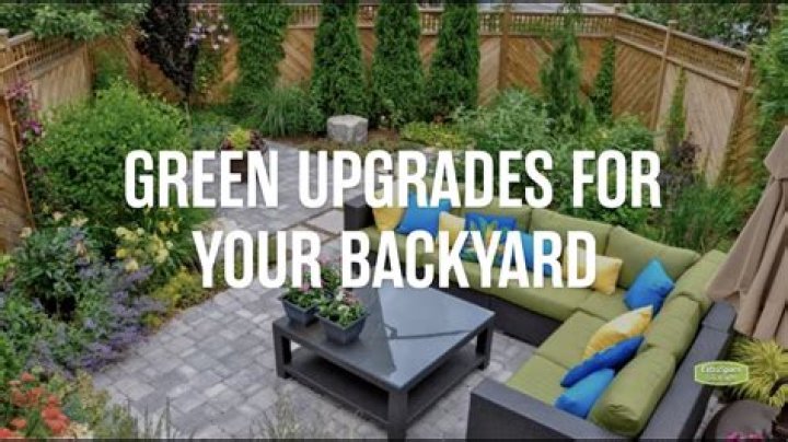 What should I put on top of my house plants?