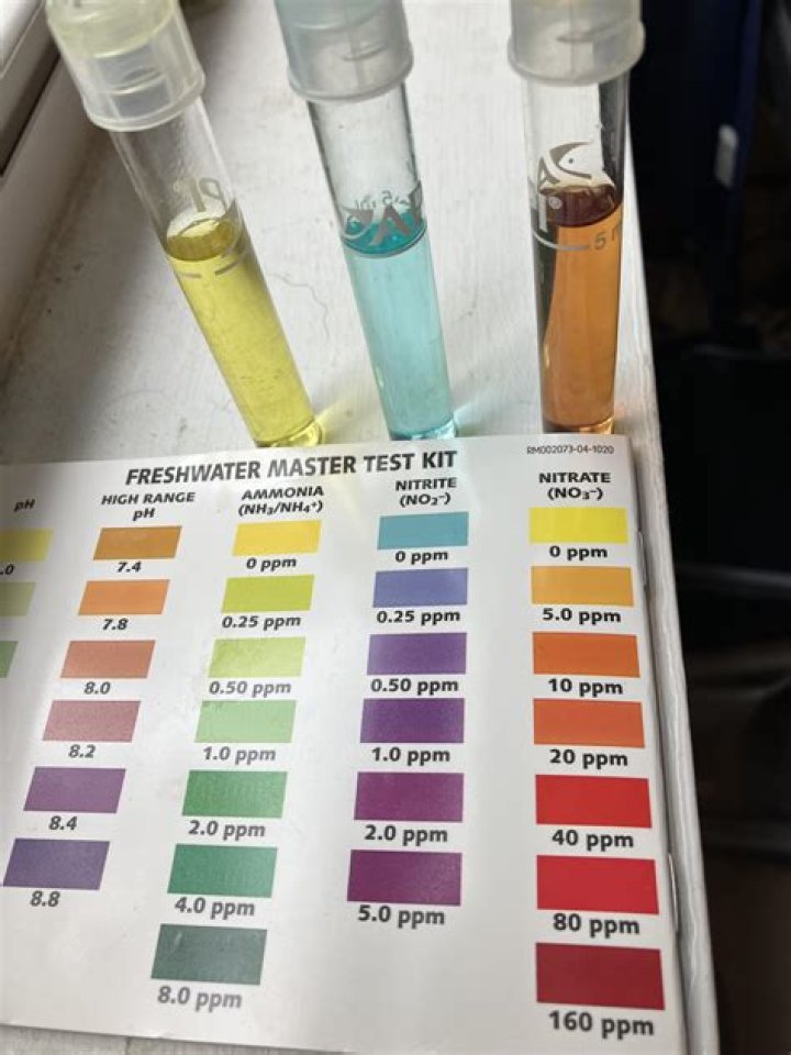 What should nitrate be in cycled tank?
