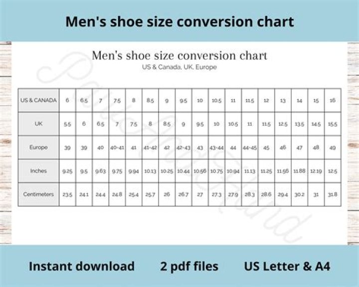 What size is 43 in mens shoes?