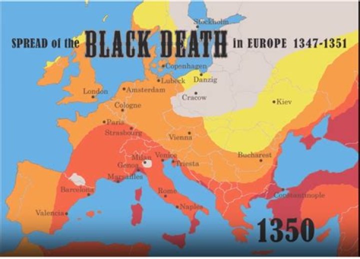 What social and economic effects did the Black Death have on Europe quizlet?