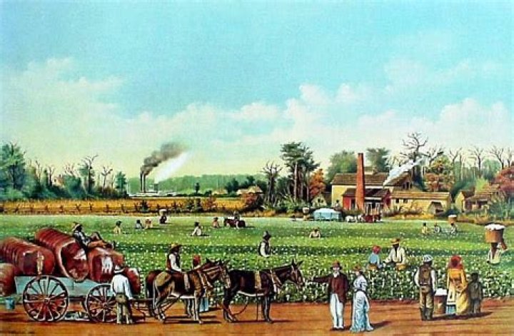 What social effect did the plantation system have in the American colonies?