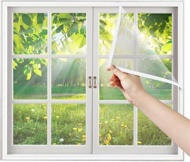 What stops mosquitoes from entering windows?