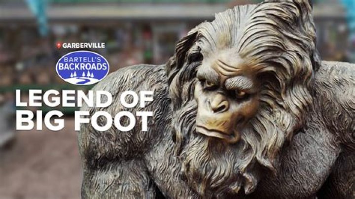 What story does this photo tell us about Bigfoot?