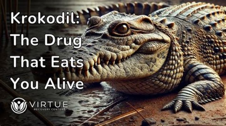 What the drug krokodil does to you?