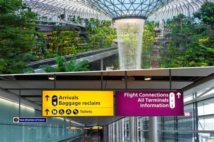 What to do if you left something at the airport?