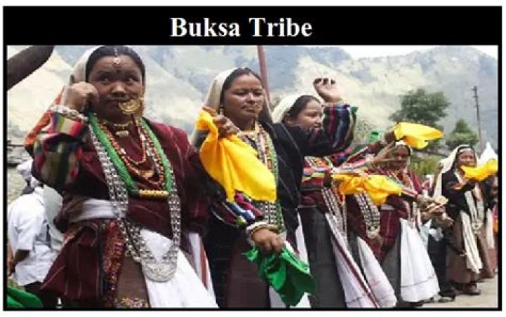 What tribe is buksa a member of?