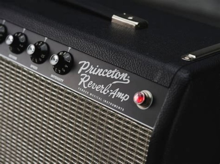 What tubes does a Princeton Reverb have?
