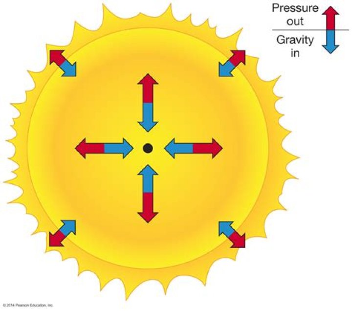 What two forces are in equilibrium in the sun?