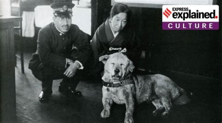 What type of dog is 1970?