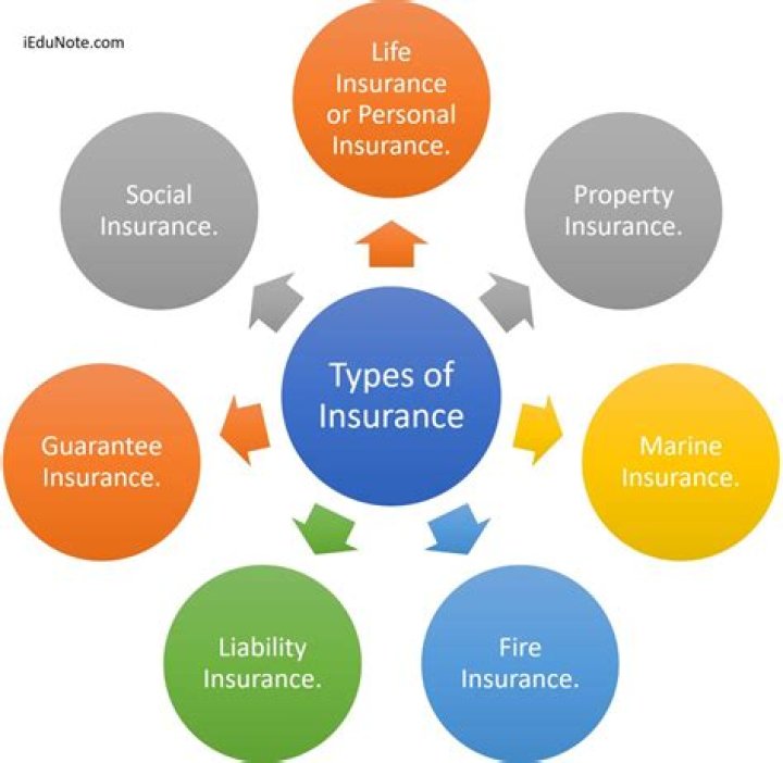 What type of insurance is Staywell?