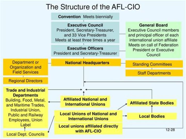 What type of interest group is the AFL CIO?