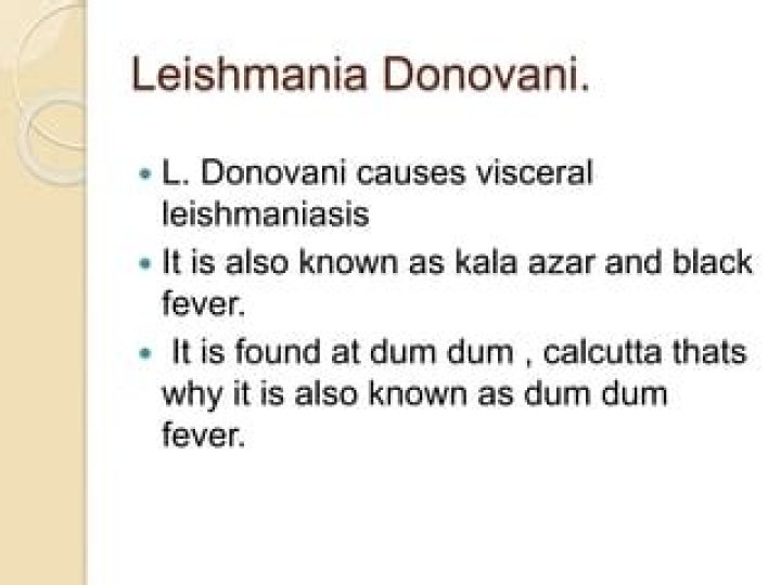 What type of leishmaniasis is caused by Leishmania donovani?