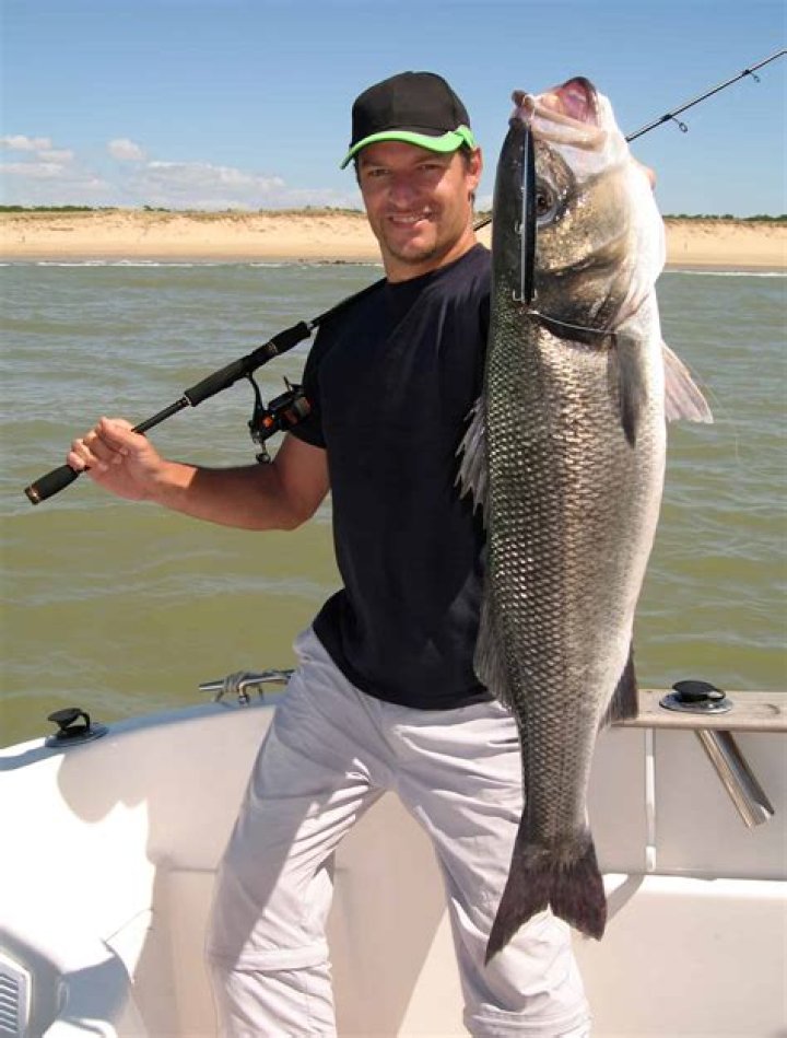 What type of rod is best for inshore fishing?