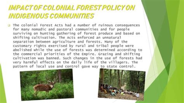 What was the effect of colonial policies?