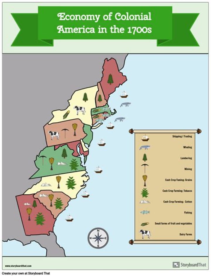 What was the most important economic activity in the American colonies?