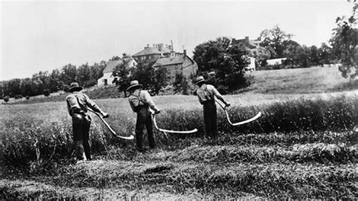 What was the weakest part of the economy in the 1920s?