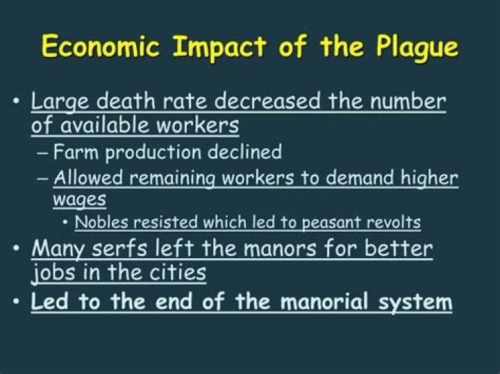 What were some economic effects of the plague?