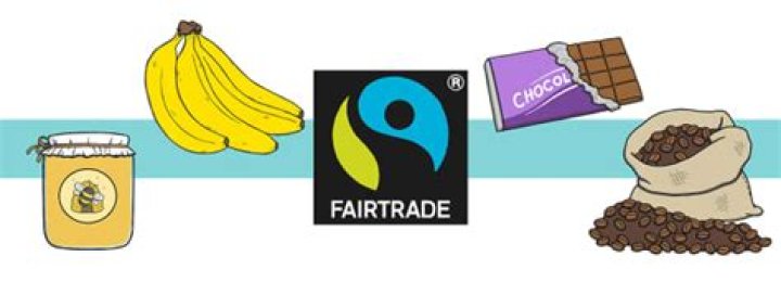 What were the 3 Fairtrade products in 1994?