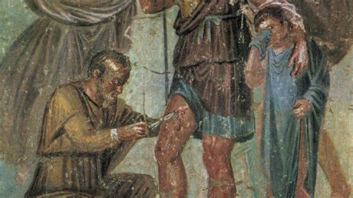 What were the first kind of animals treated by ancient medical doctors?
