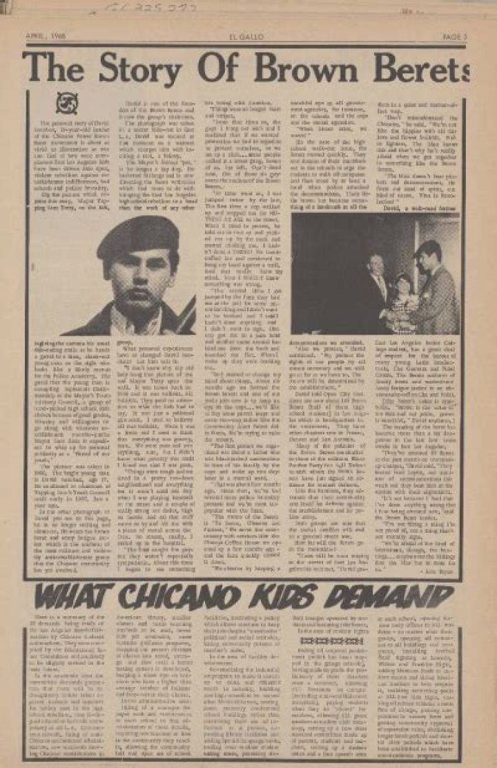 What were the goals of the Brown Berets?