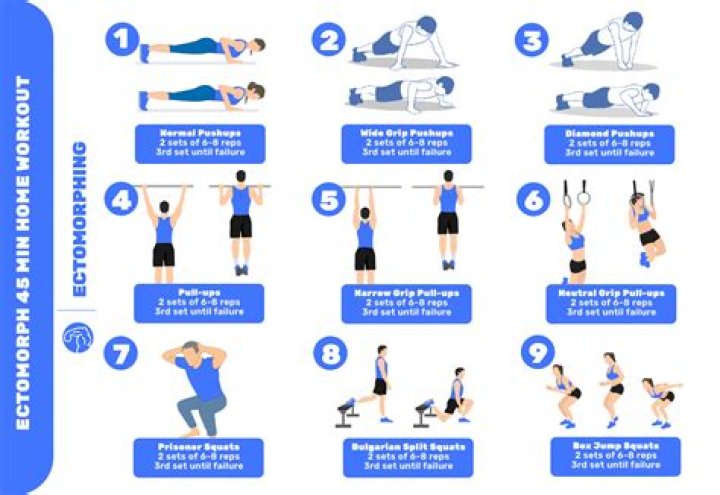 What workouts should Ectomorphs do?