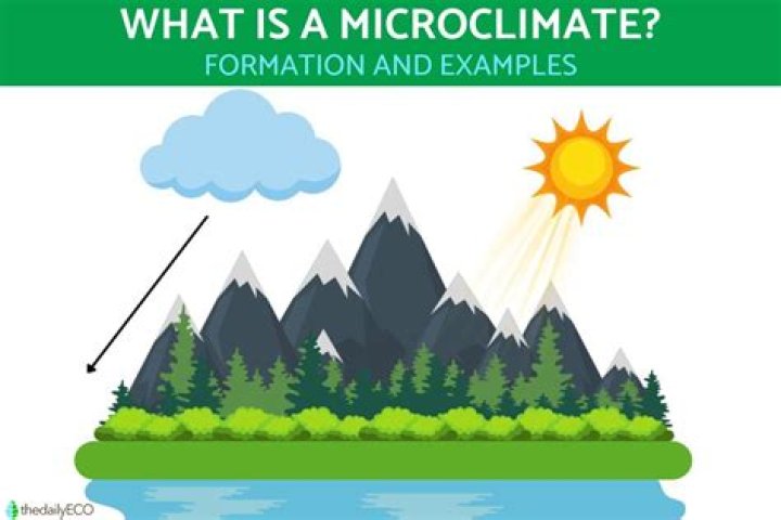 What would be an example of a microclimate?