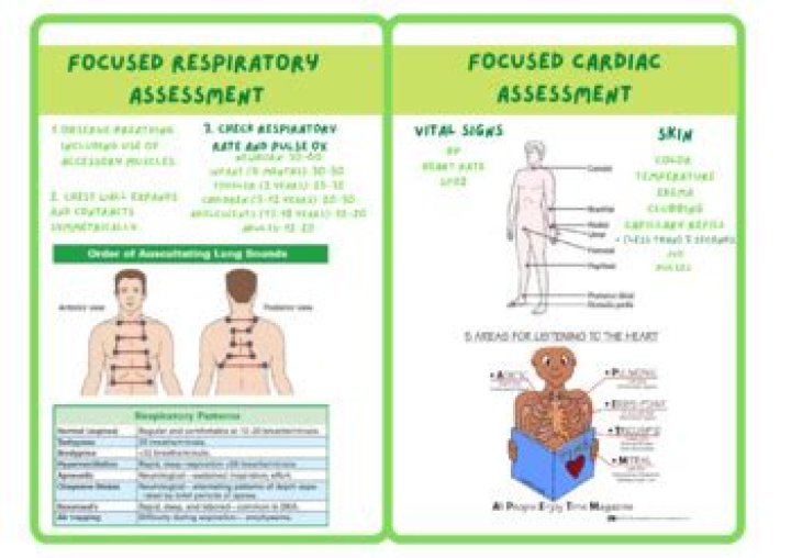 What would be included in a focused cardiac assessment?