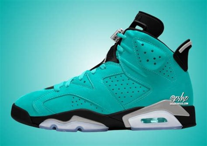 What year did the Jordan 6 release?