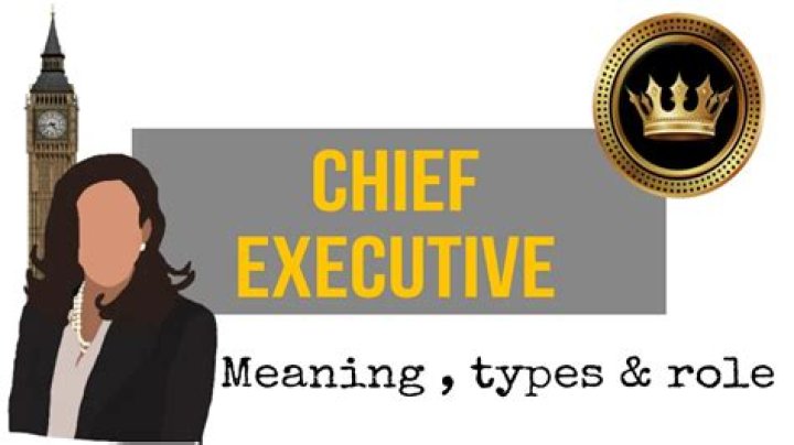 Whats does executive mean?