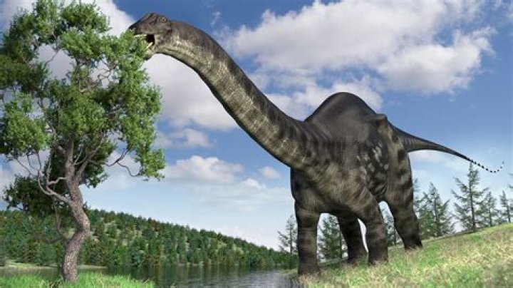 When did Brontosaurus become extinct?