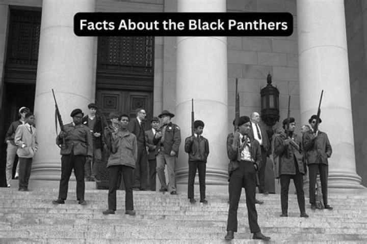 When did the Black Panthers originate?