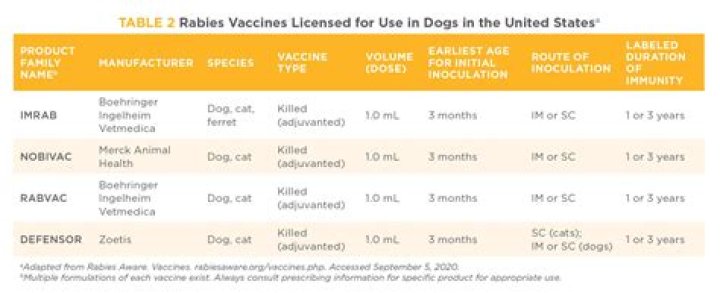 When do dogs get 1st rabies shot?