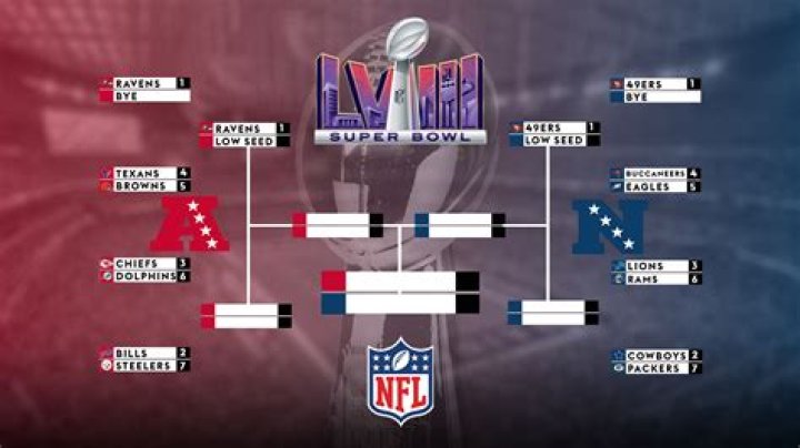 When do the 2015 NFL playoffs start?