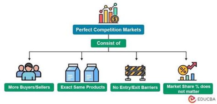 When one company controls the market for a certain product there is no competition?