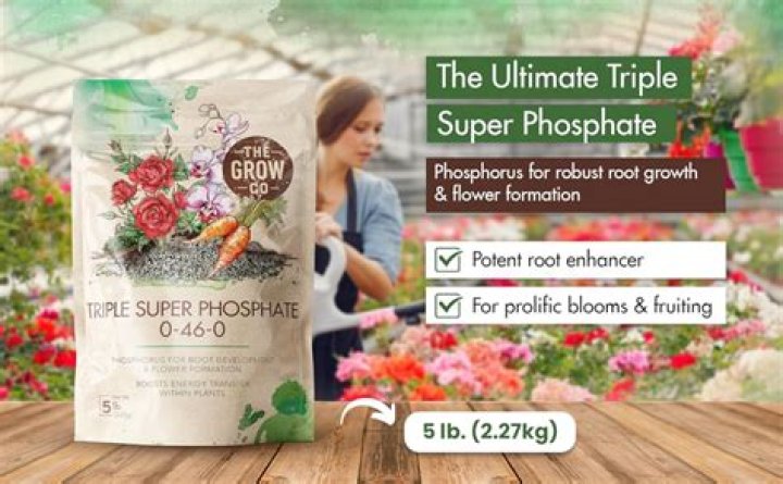 When should I use super phosphate?