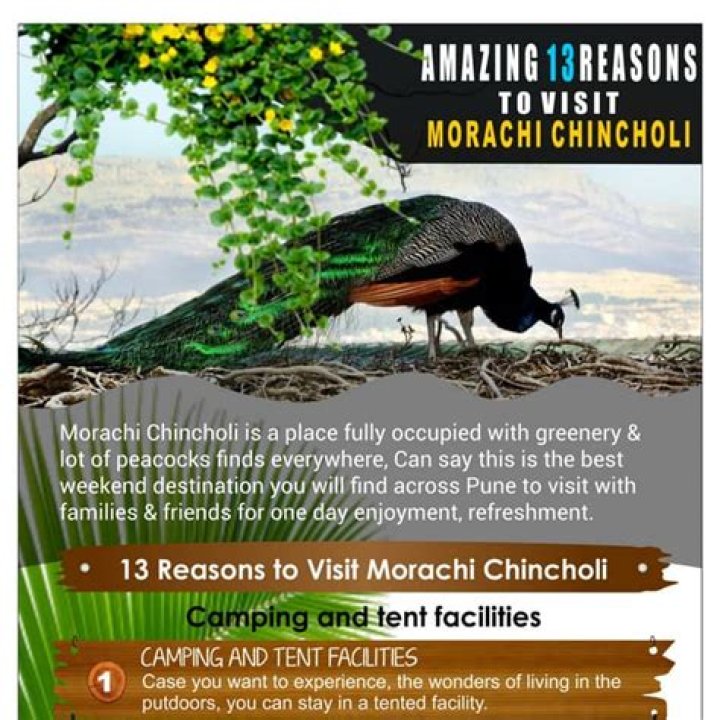 When to visit Morachi Chincholi?