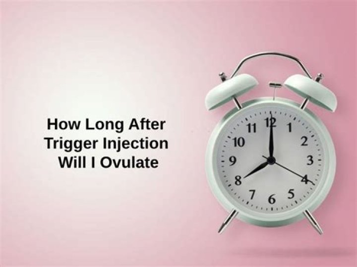 When will I ovulate after trigger shot?