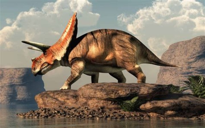 Where are Ceratopsids found?