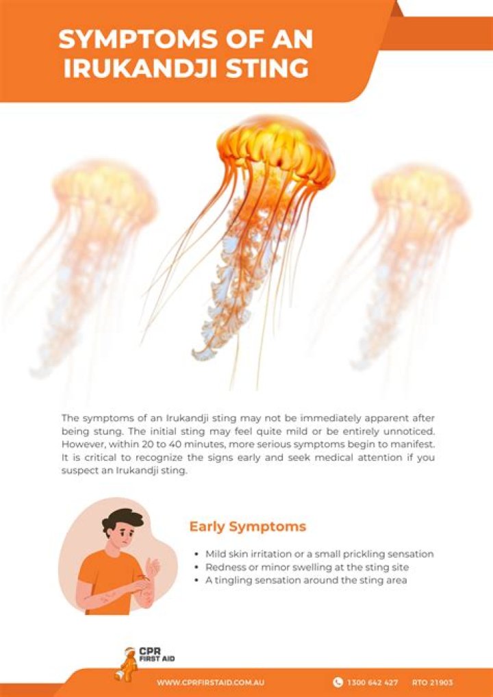 Where are Irukandji jellyfish located?
