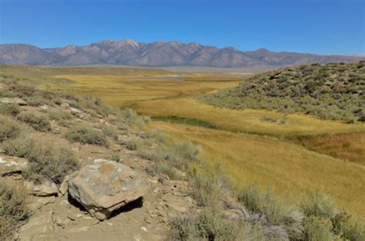 Where are the headwaters of the Owens River?