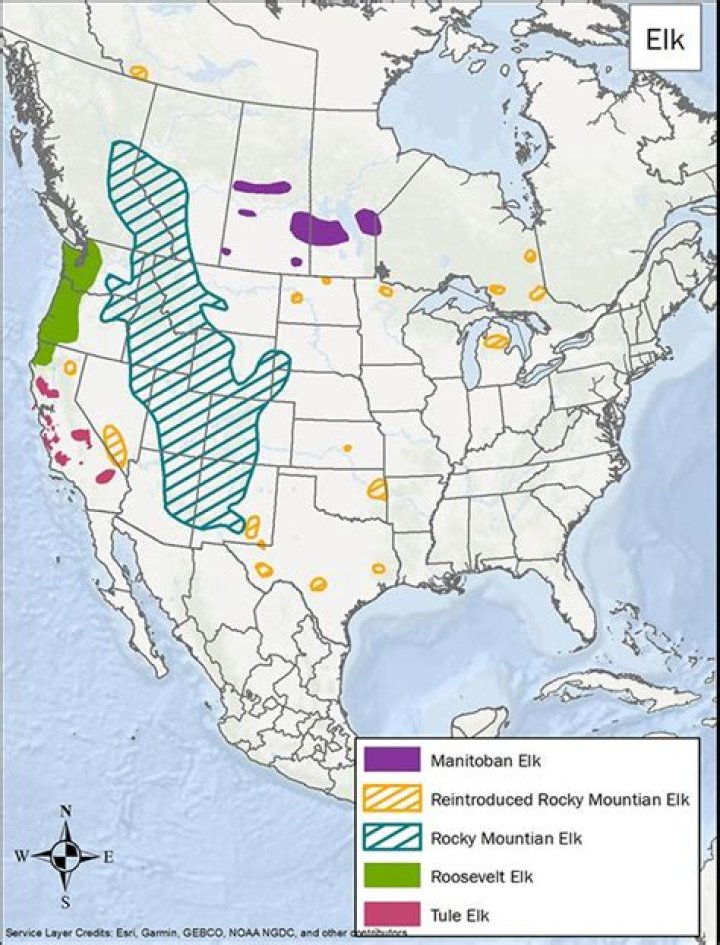Where are the most elk in Washington state?