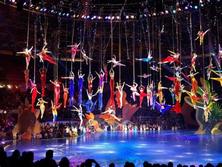 Where are the performers from in Cirque du Soleil?