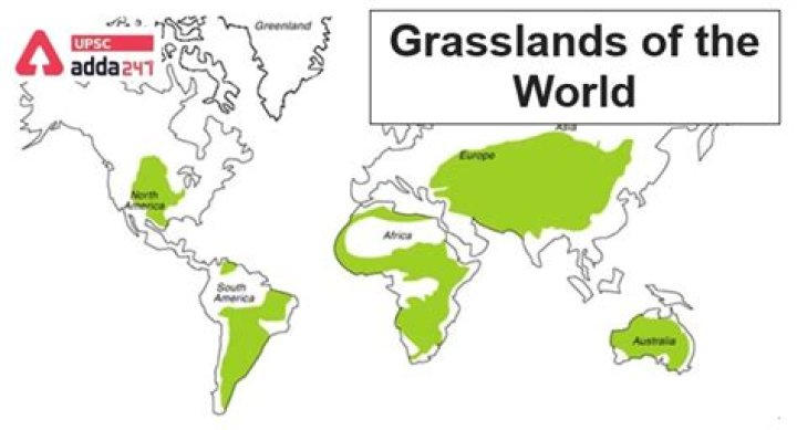 Where are veld grassland located?