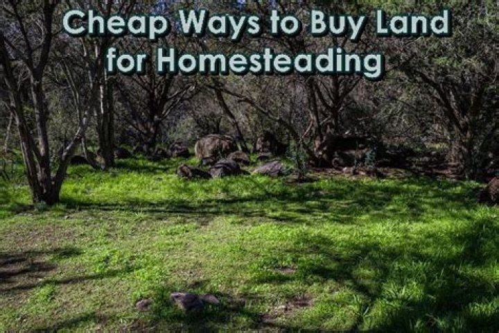 Where can I buy cheap land for homesteading?