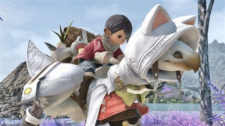 Where can I buy chocobo armor Ffxiv?