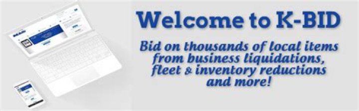 Where can I find online auctions in Minnesota?